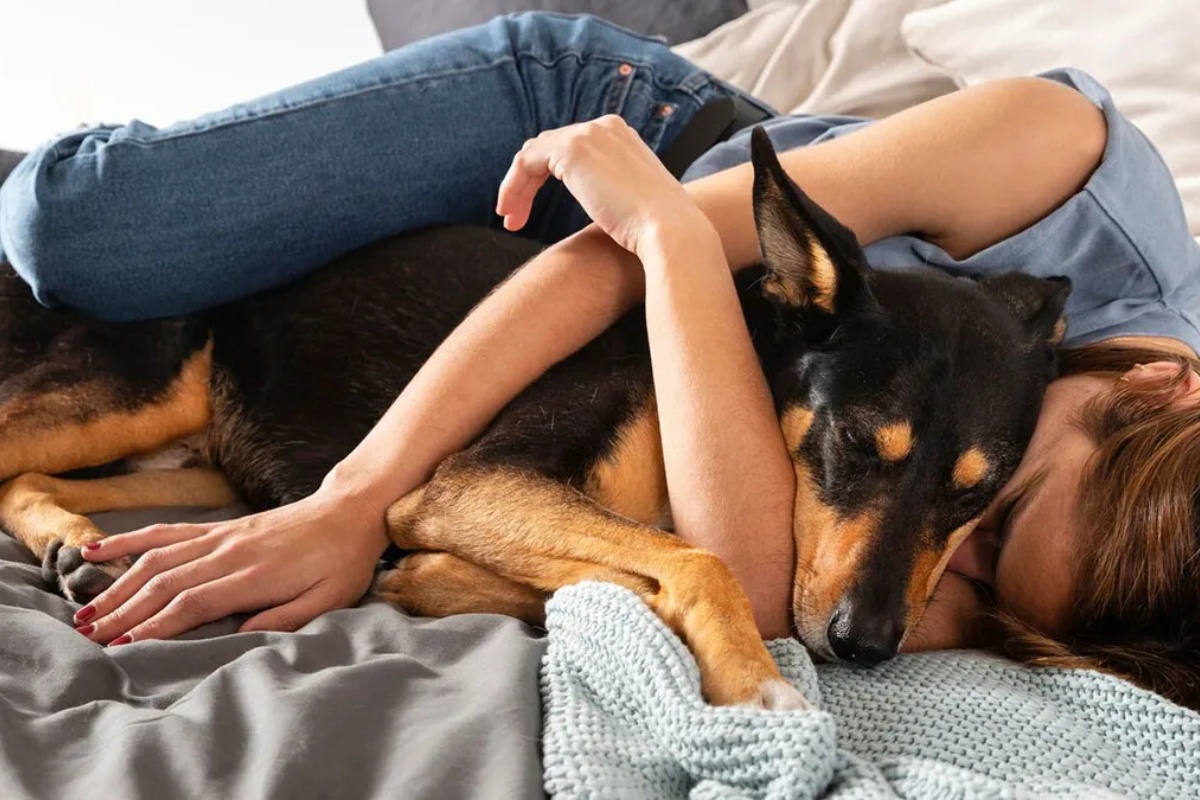 Poremećaj anksioznosti usled razdvajanja koji pogađa milione pasa i kako ga sprečiti prema mišljenju etologa – image 1