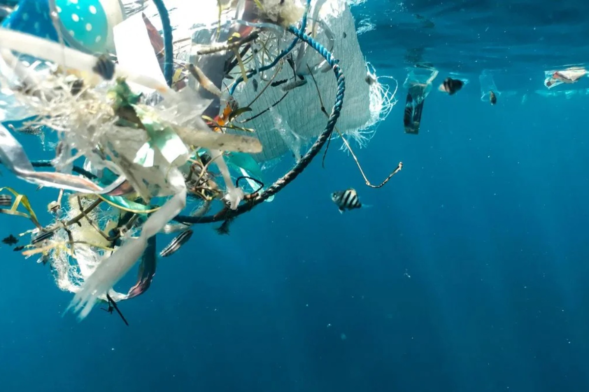 Naučnici smatraju da bi trebalo da prestanemo da čistimo plastiku iz okeana zbog ovog čudnog otkrića – image 1