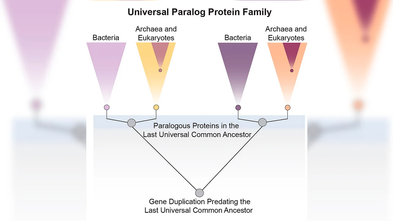 Sav život na Zemlji deli zajedničkog pretka, ali neki naši geni su stariji od njega – image 1