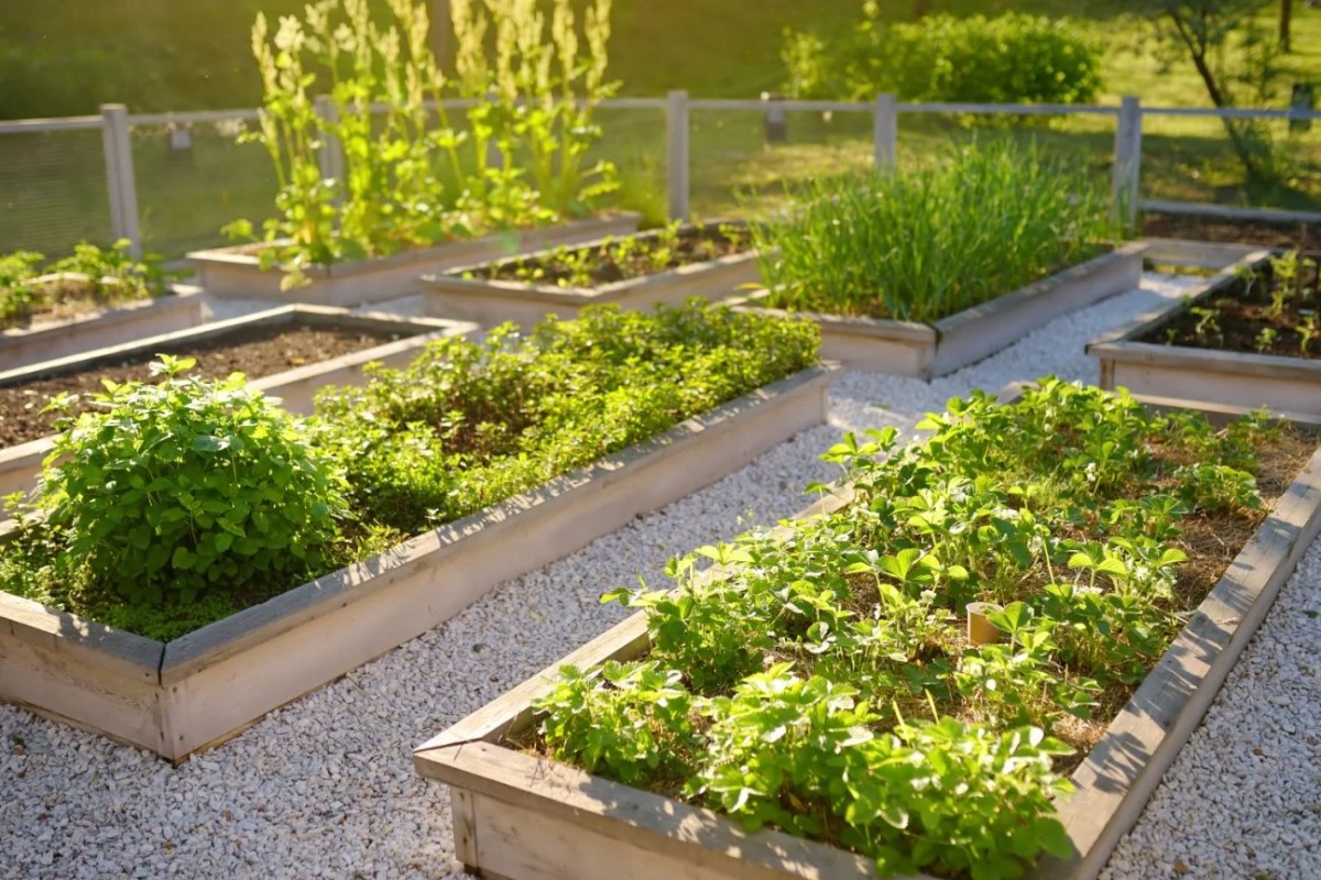 Svi koraci koje treba da pratite da biste napravili urbanu baštu u sopstvenom domu – image 1