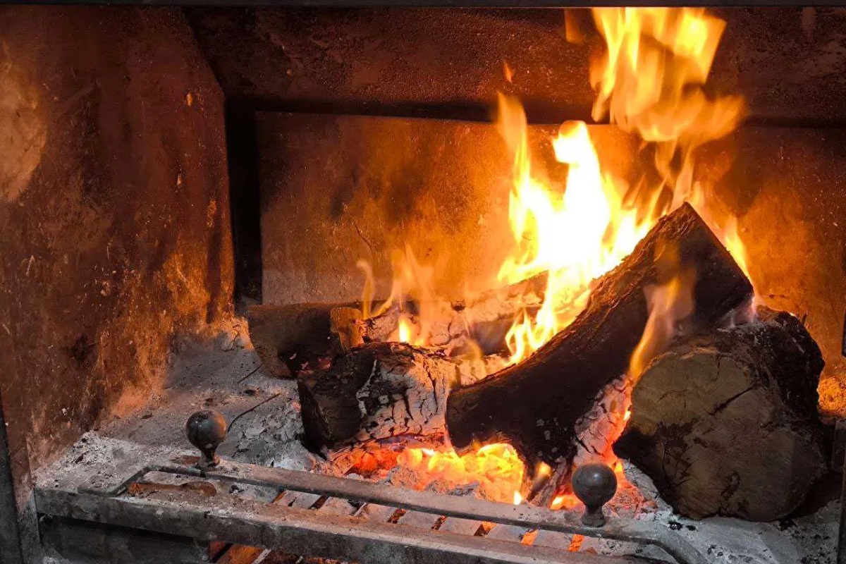 Koje vrste drveta ne smeju da se lože u kući: ove vrste ne greju – image 1