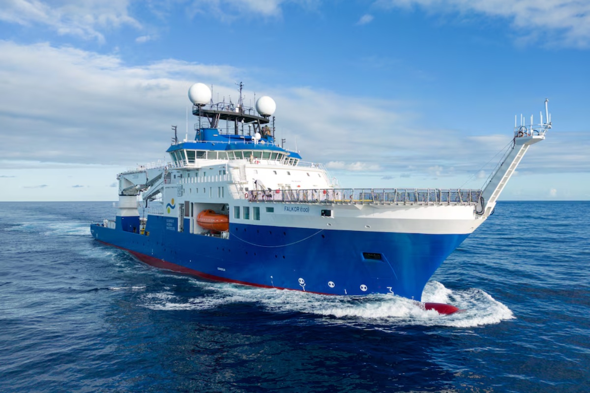 Džinovska meduza koju su naučnici CONICET-a zabeležili u Argentinskom moru: „velika je kao školski autobus“ – image 2