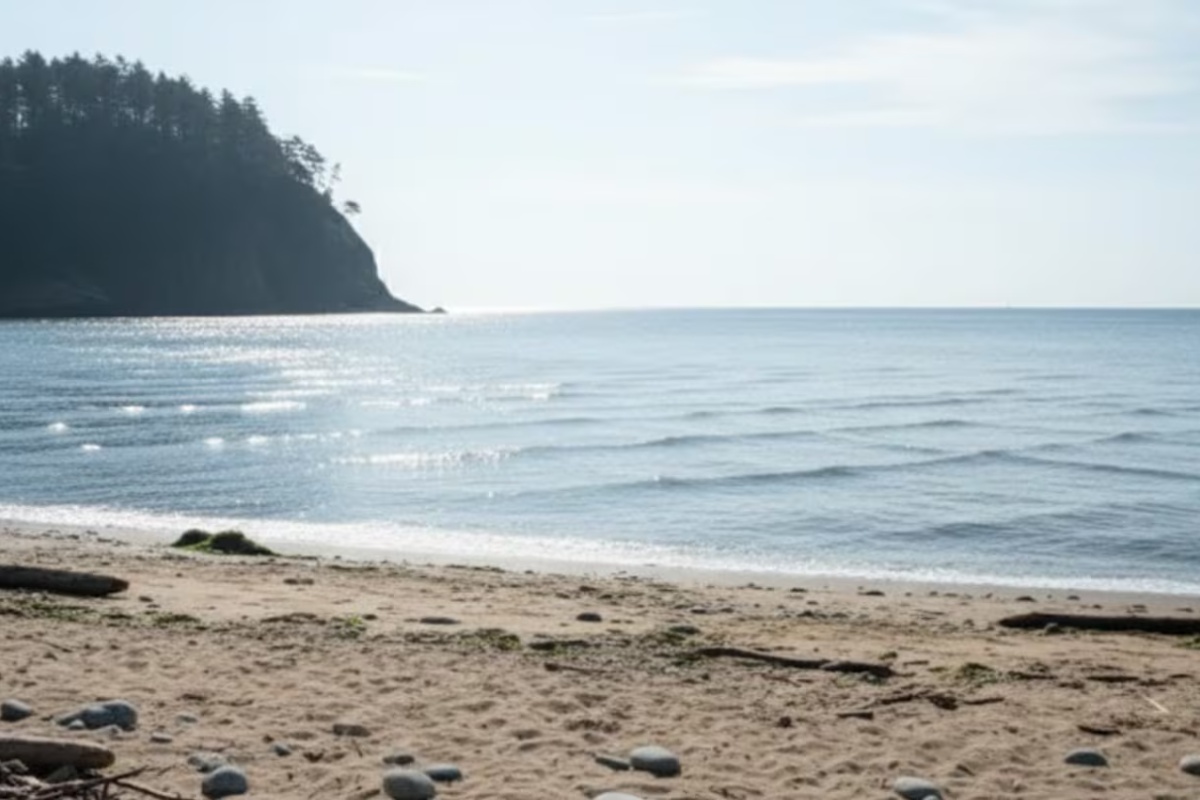 Šta znače „kvadratni“ talasi u moru i zašto ne treba ulaziti u vodu ako ih vidiš – image 2