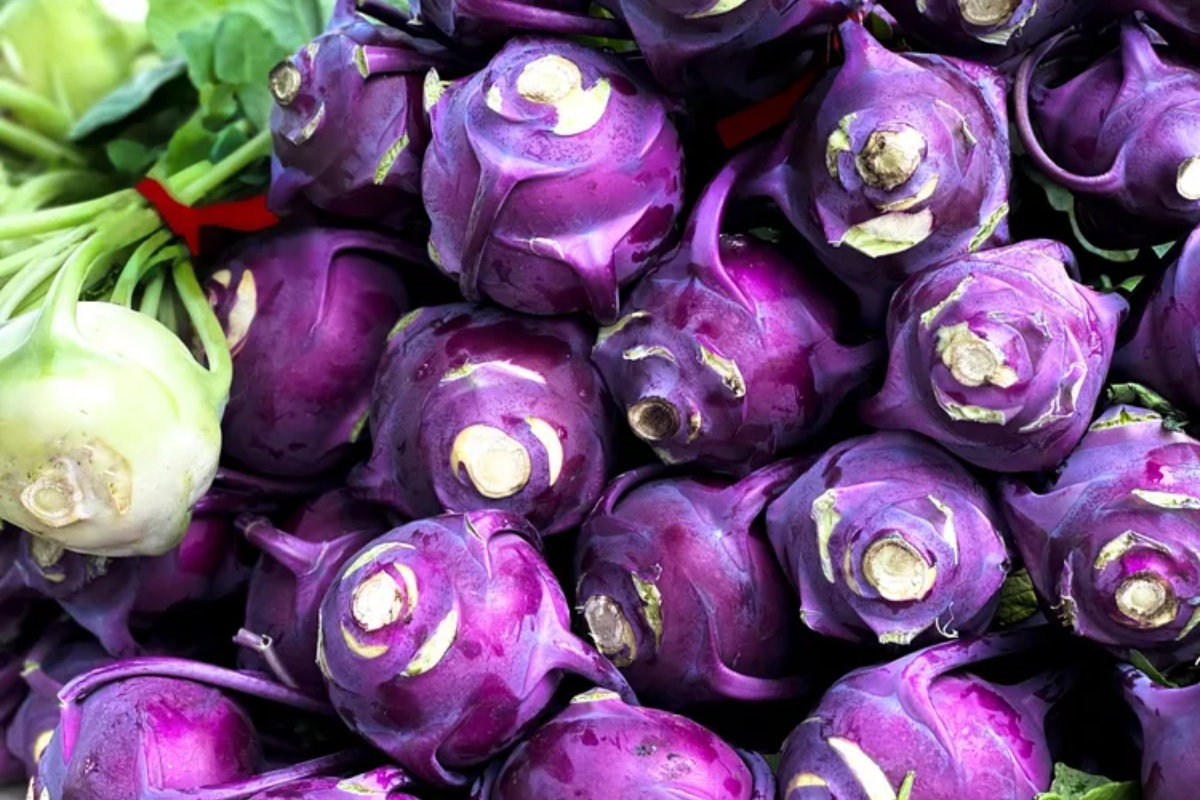 10 vrsta povrća koje treba da posadite u zatvorenom prostoru u februaru za ranu prolećnu berbu – image 2