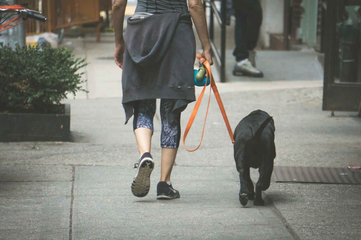 Hodanje 10.000 koraka nije