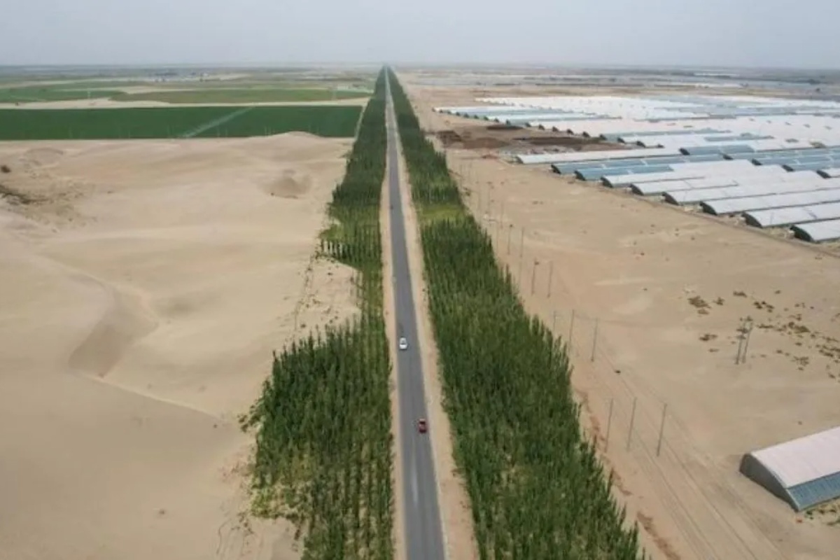 Kina pretvara pustinju u plodnu zemlju sejući organizme stare 3,5 milijardi godina – image 2