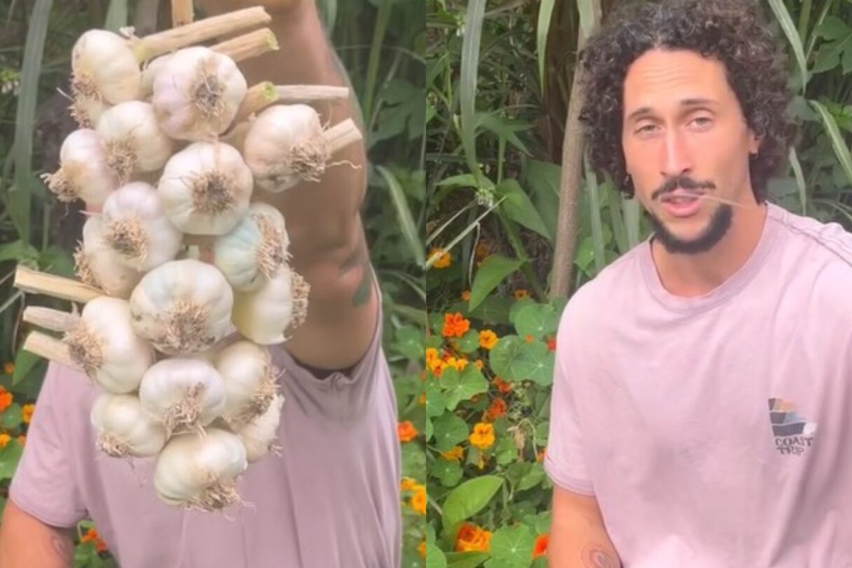 Inti Sanguinet, stručnjak za biljke: „Ovo je najbolji način za čuvanje belog luka do godinu dana“ – image 2