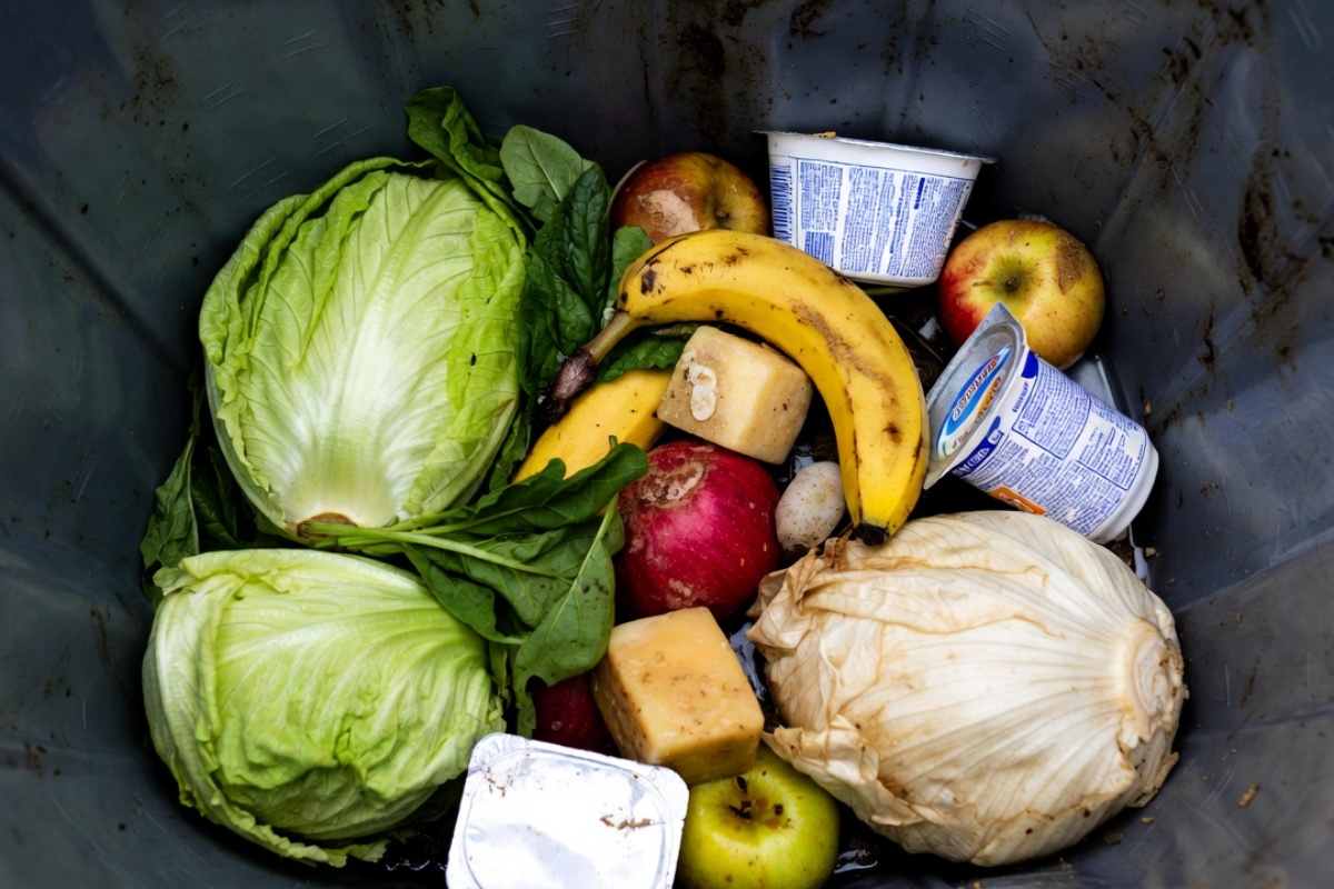 Najčešće završavaju u kanti. Olakšanje za creva, bogatstvo magnezijuma i antioksidanata – image 2