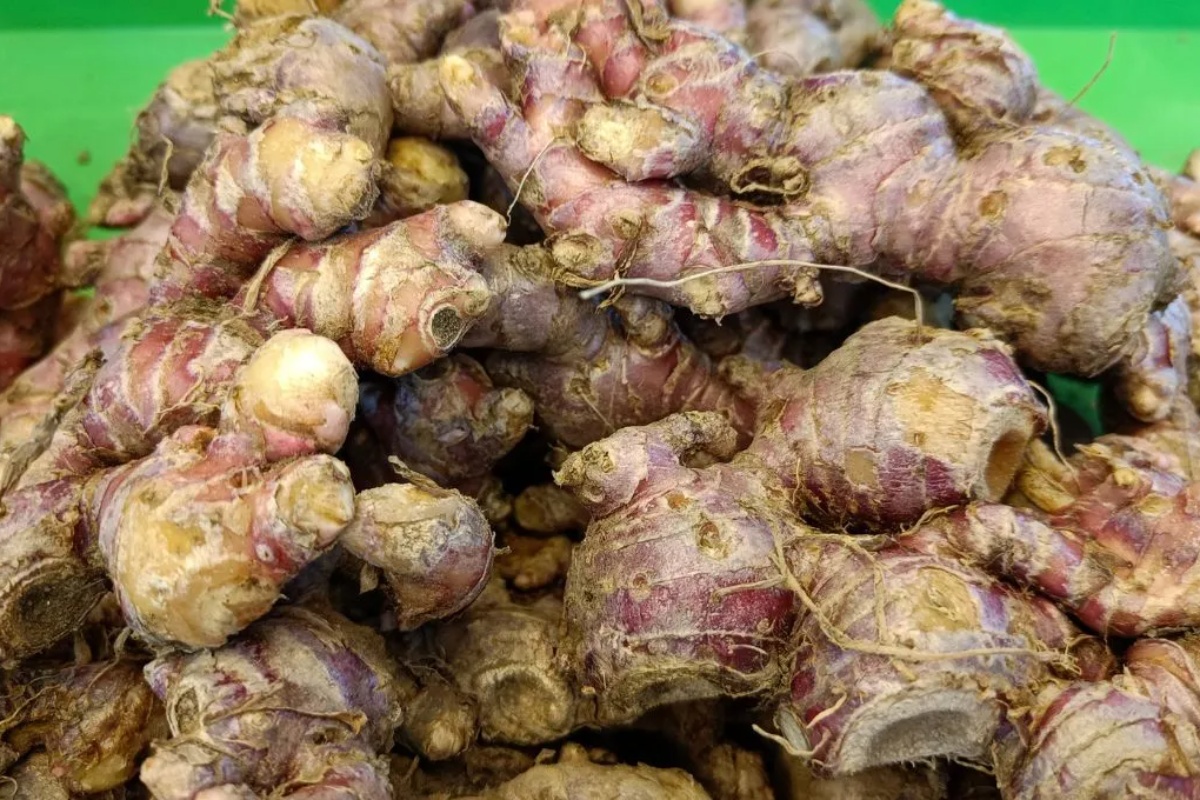 Usitnjavanje kore đumbira: zašto se preporučuje i koje su prednosti – image 2