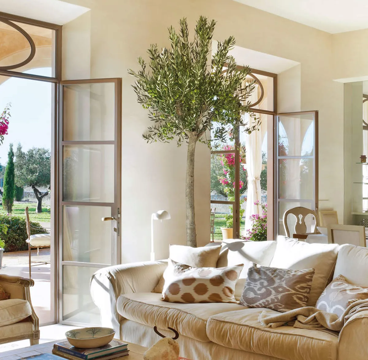 Upoznajte najbolje drvo za uzgoj u saksiji: ima ukusne plodove i veoma je otporno – image 2