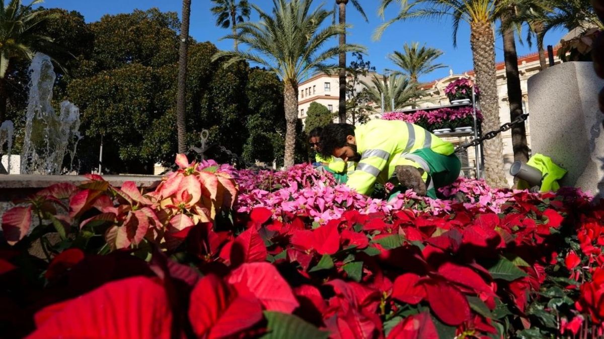 Vaše biljke traže pomoć nakon zime: vodič stručnjaka za oživljavanje vaše bašte u proleće – image 2