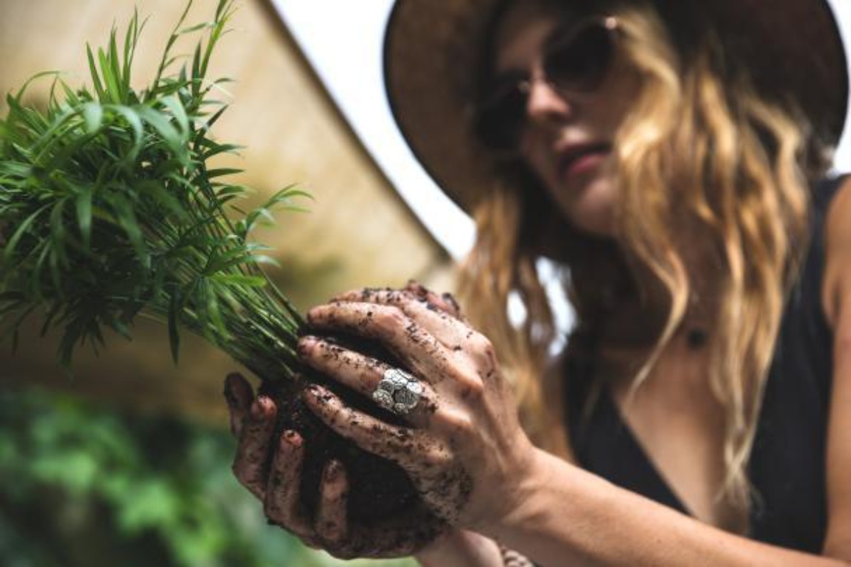 Ni saksija ni bonsaj: ovo je kokedama, drevna japanska tehnika kugli od mahovine koja je ponovo u modi u domovima – image 2