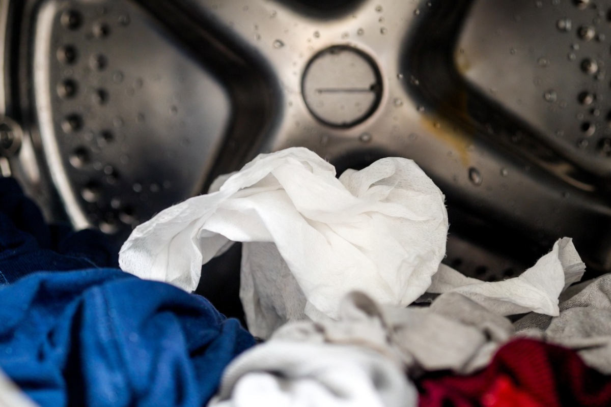 Zaboravljena papirna maramica u mašini: 3 koraka koja odmah treba preduzeti da spasite veš i mašinu za pranje veša – image 2