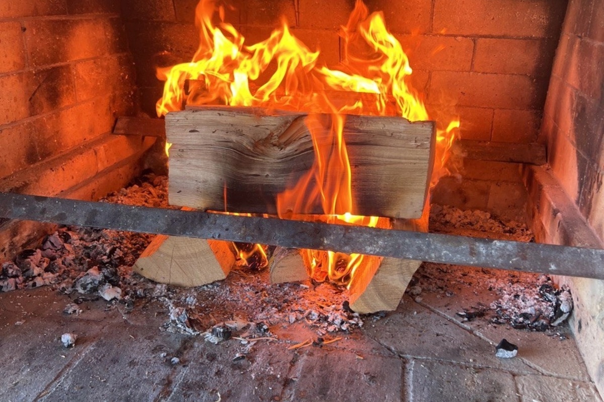 Koje vrste drveta ne smeju da se lože u kući: ove vrste ne greju – image 2