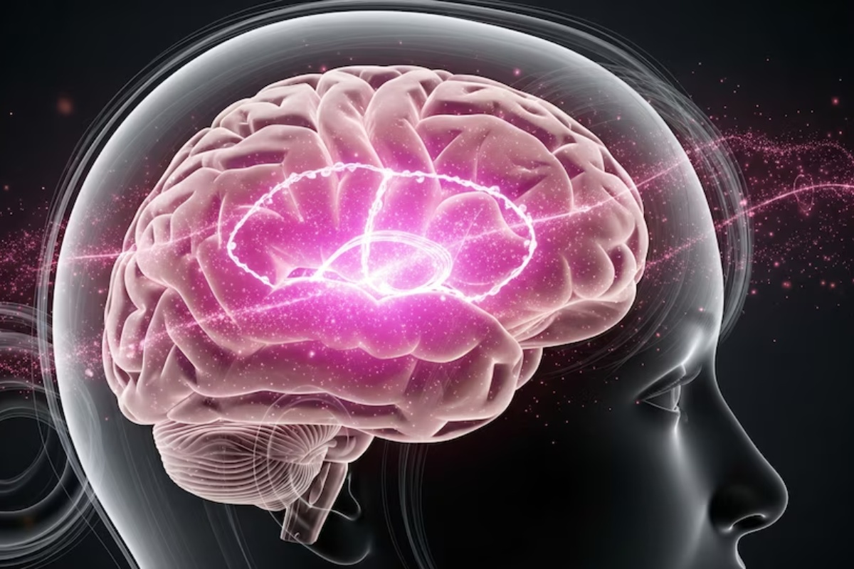 Studija Univerziteta u Kaliforniji pokazala je da visok nivo estrogena utiče na pamćenje kod žena – image 3