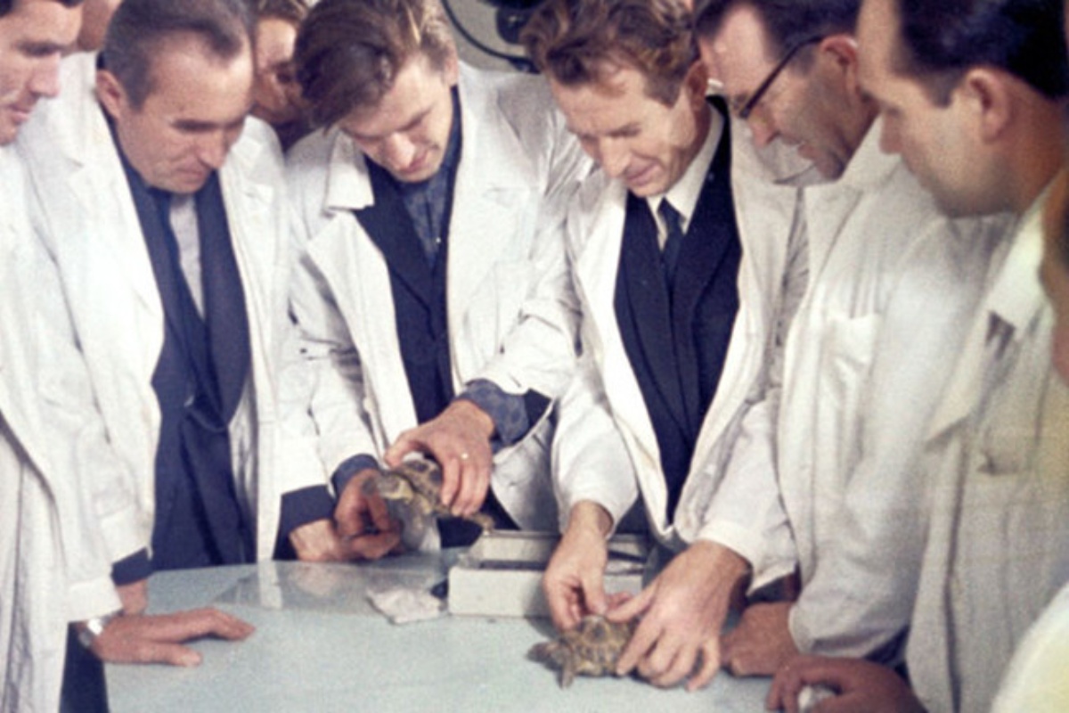 Sovjetski Savez je 1968. godine lansirao dve kornjače u svemir. Neverovatno je da su se obe vratile da ispričaju priču – image 3