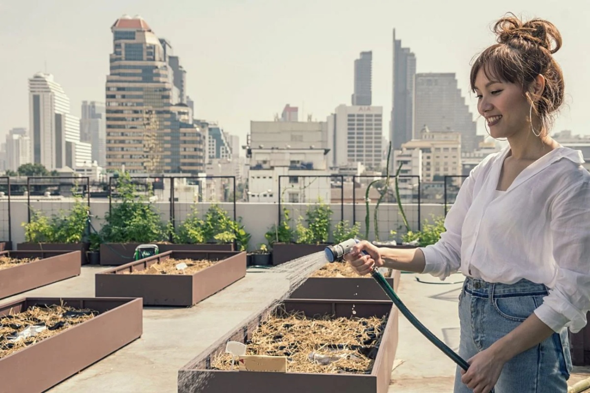 Svi koraci koje treba da pratite da biste napravili urbanu baštu u sopstvenom domu – image 3