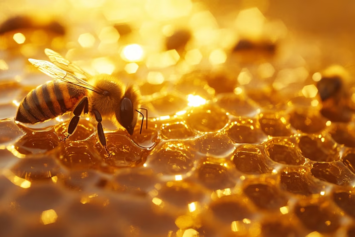 Upozorenje: Supstanca se akumulira u pčelinjem medu i može ugroziti njihov opstanak – image 4