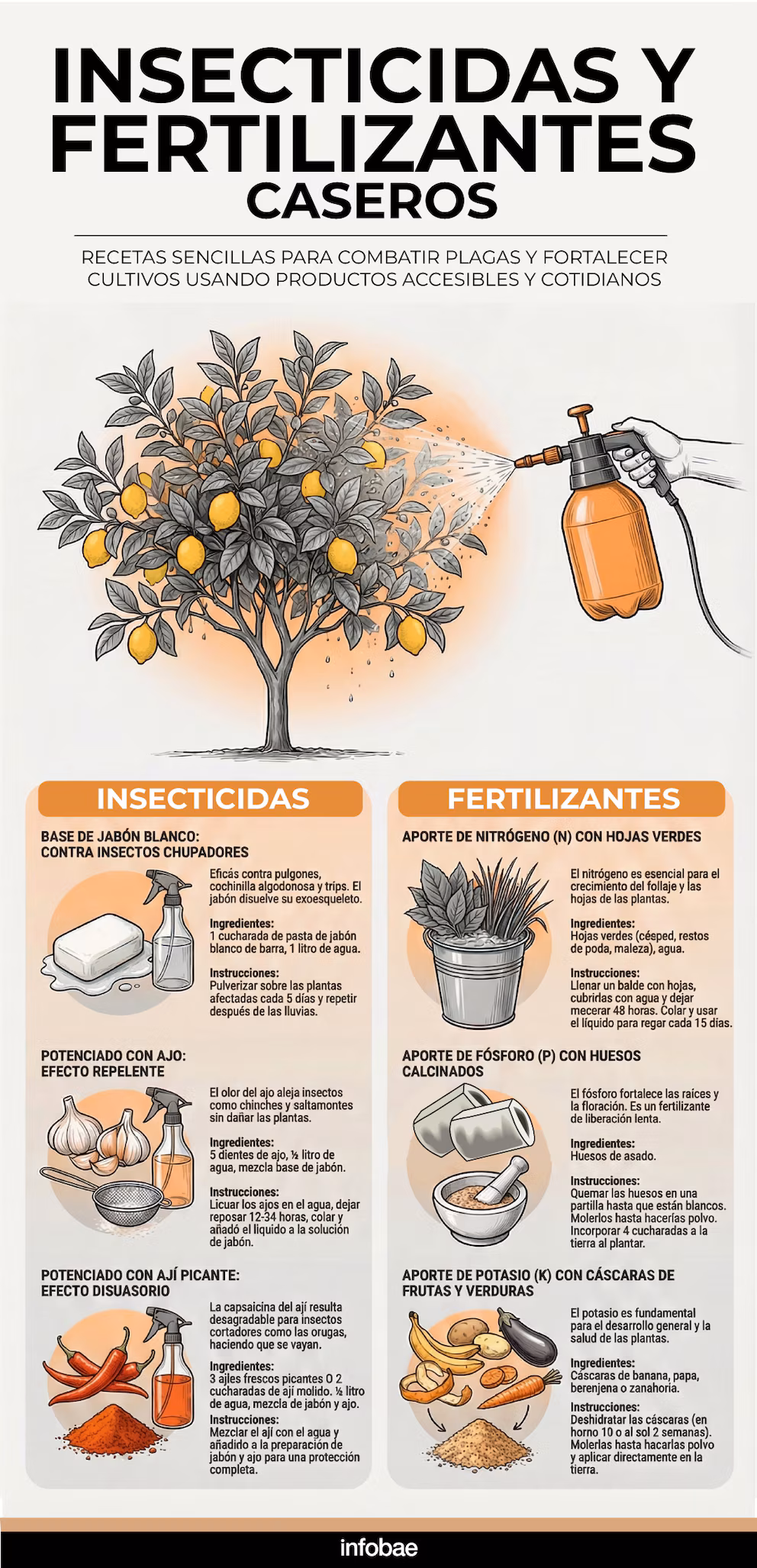 Kako pripremiti domaće insekticide i đubriva, prema savetima inženjera – image 5