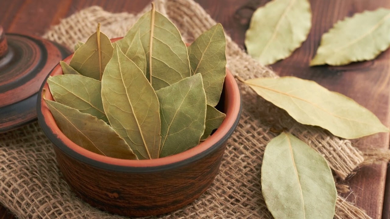 Miješanje lovorovog lista i deterdženta: zašto se preporučuje i za što je korisno.