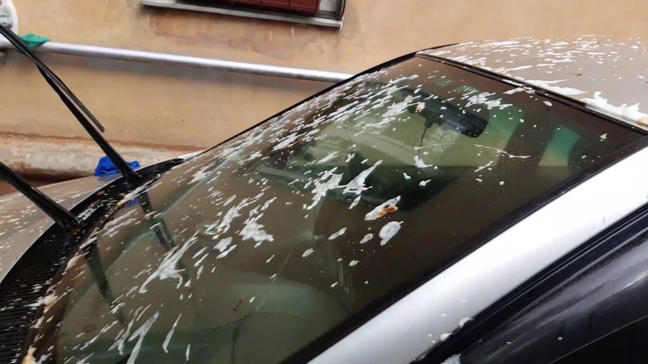 Voda ili alkohol neće pomoći: jednostavan način da očistite svoj automobil od ptičjeg izmeta i ostavite ga potpuno čistim.