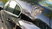 Vesi tai alkoholi eivät auta: helppo tapa puhdistaa auto lintujen ulosteista ja jättää se täysin puhtaaksi.