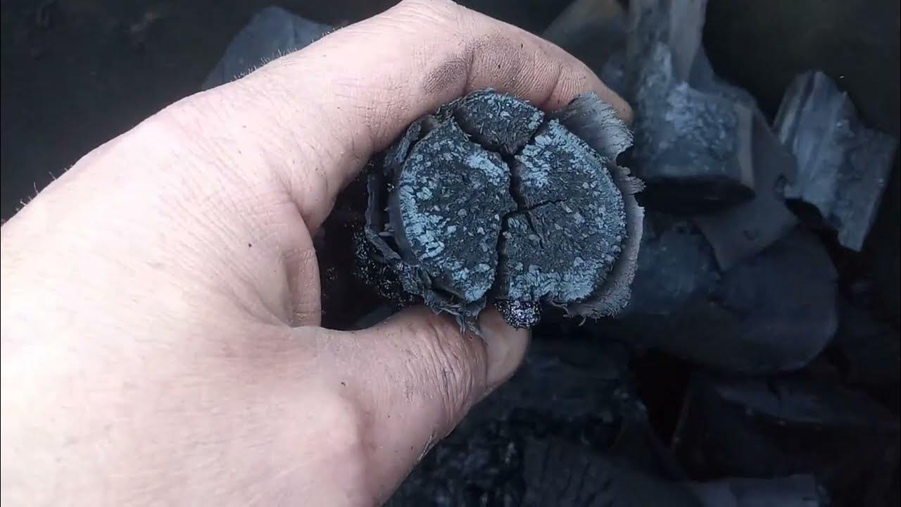 Miješanje drvenog ugljena i sode bikarbone: zašto se preporučuje i za što je korisno.