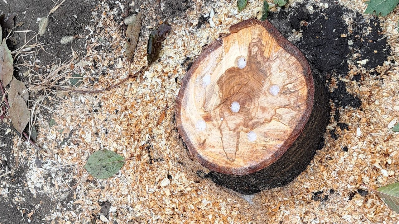 Ulijte ovo u prtljažnik i ono će se samo od sebe razgraditi. Ne treba kopati.