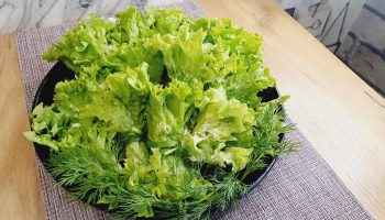 De ce oamenii din vechime culegeau salata frunză cu frunză în timpul iernii?