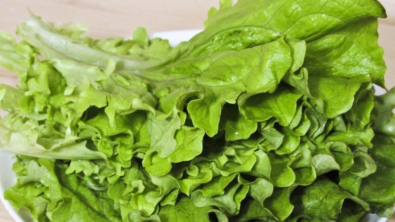 Zašto su stari ljudi brali salatu zimi?