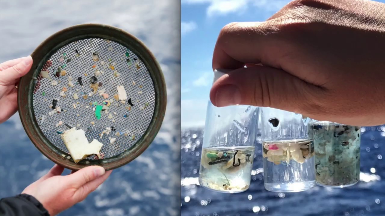 Cum sateliții și metodele ultrasensibile permit detectarea micro- și nanoplastice în mări, sedimente și țesuturi