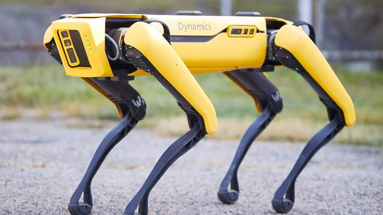 Riječ je o psima robotima koji će osiguravati sigurnost tijekom Svjetskog prvenstva u nogometu 2026. godine.