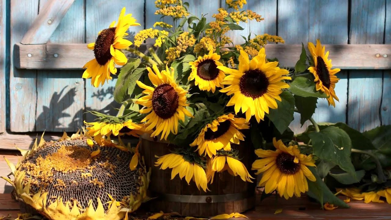 To nije samo ukras: cvijeće postavljeno u središte kompozicije privlači bogatstvo.