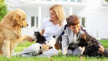 Anunț important din partea medicilor veterinari pentru persoanele care locuiesc împreună cu pisici și copii.