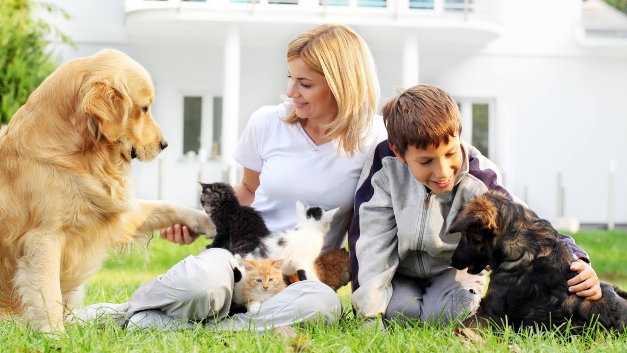 Anunț important din partea medicilor veterinari pentru persoanele care locuiesc împreună cu pisici și copii.