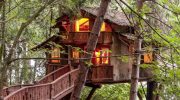 10 vaikuttavinta puumajaa maailmassa