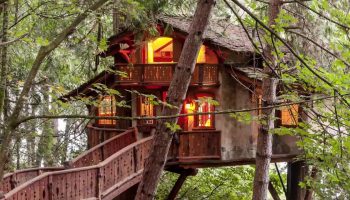 10 vaikuttavinta puumajaa maailmassa