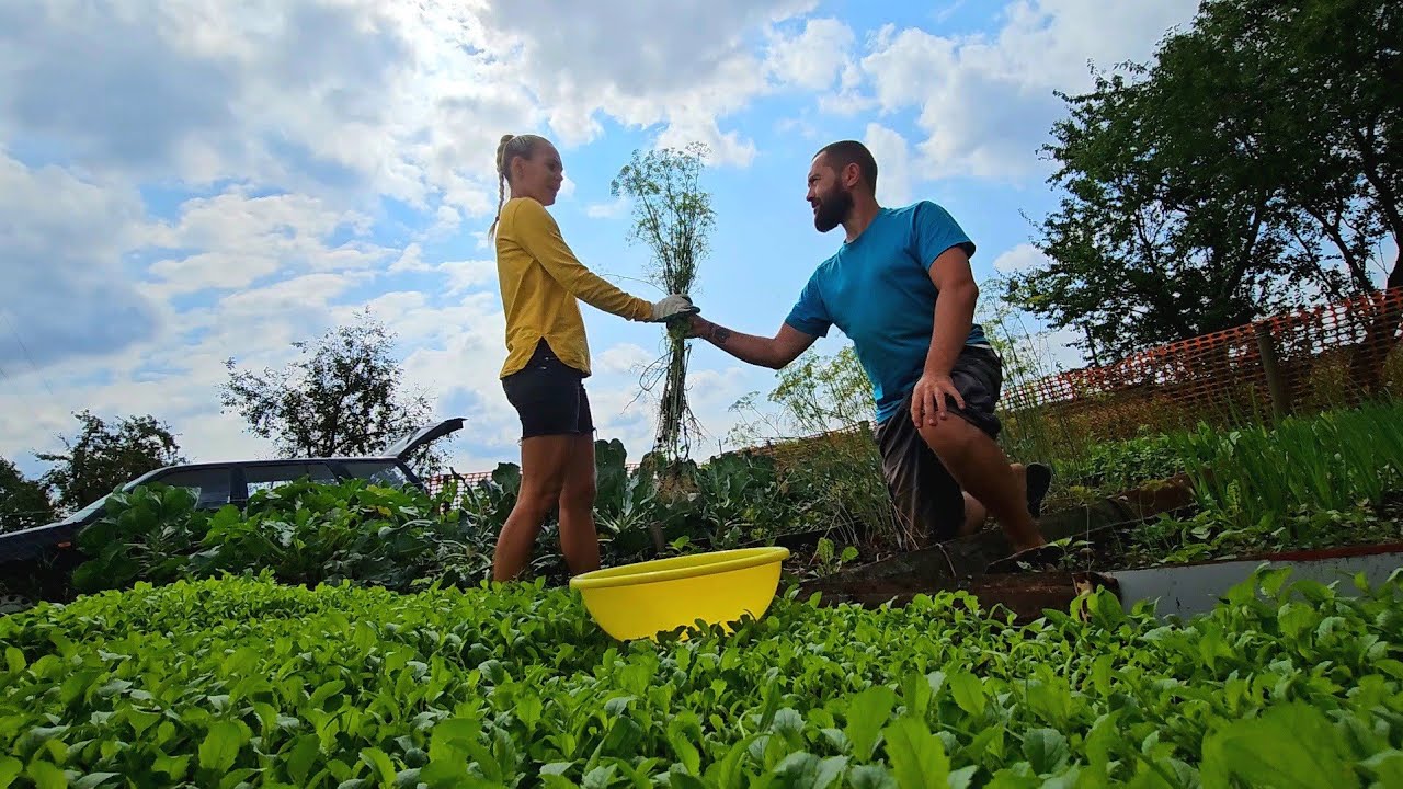 Koliko će koštati domaćinstvo ROD natjecanja 2026.? Cijene preciziramo prije početka sezone.