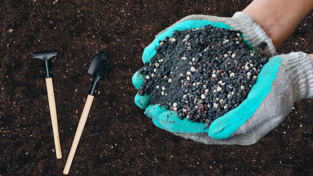 Zabadanje starih žlica u tlo ispod biljaka: zašto se to preporučuje