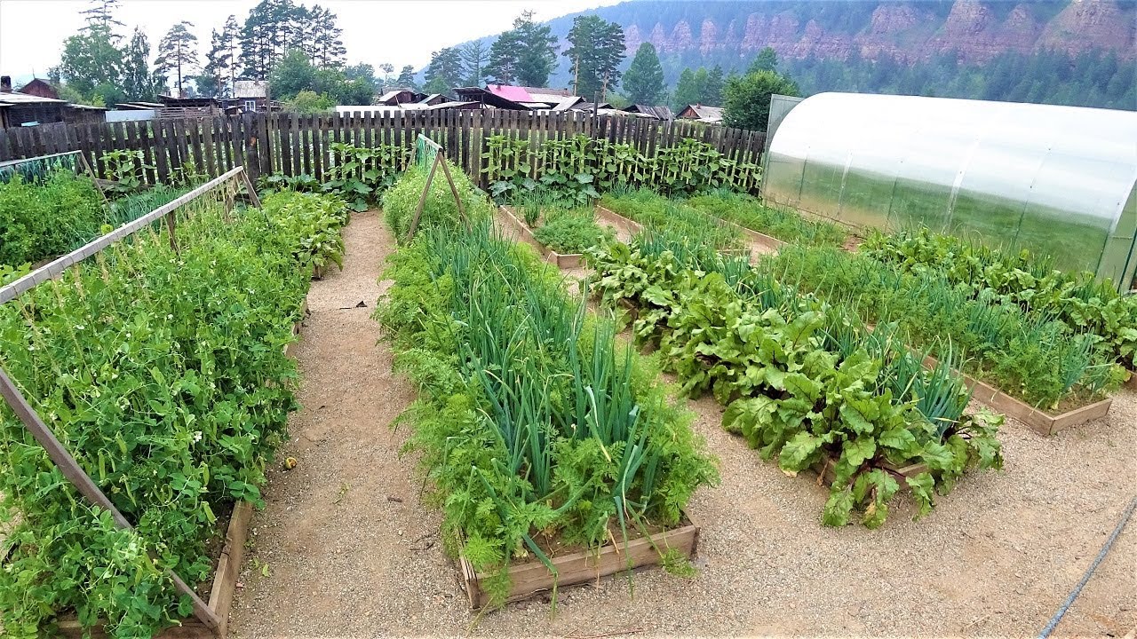 Cât va costa un lot pentru organizarea competițiilor ROD în 2026? Precizăm prețurile înainte de începerea sezonului.