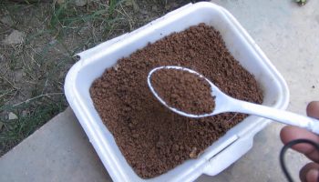 Înfingerea lingurilor vechi în solul de sub plante: de ce este recomandat