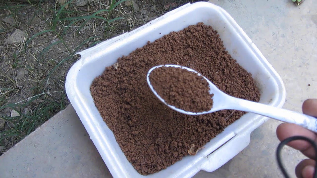 Înfingerea lingurilor vechi în solul de sub plante: de ce este recomandat