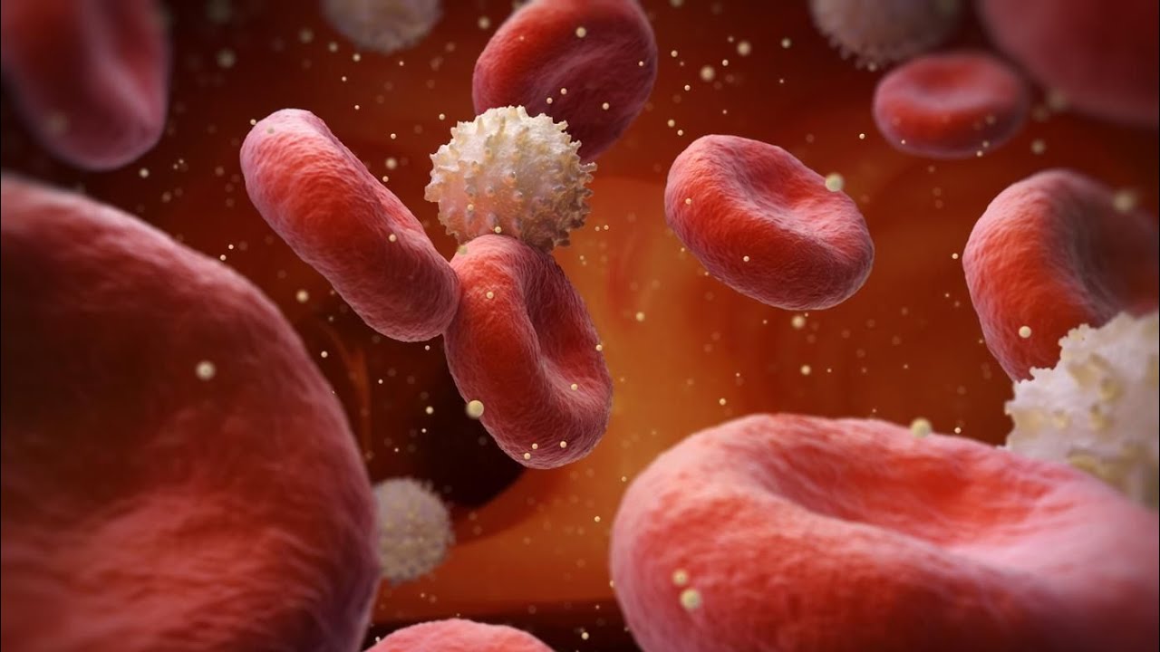 Zašto je zob važan pomagač u kontroli razine kolesterola, probavi i osjećaju sitosti