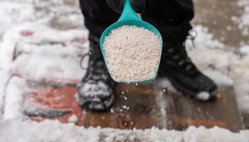 Strooi het op uw terrein in plaats van zout. Het beschadigt de planten niet en het ijs verdwijnt binnen enkele ogenblikken van de stoep.