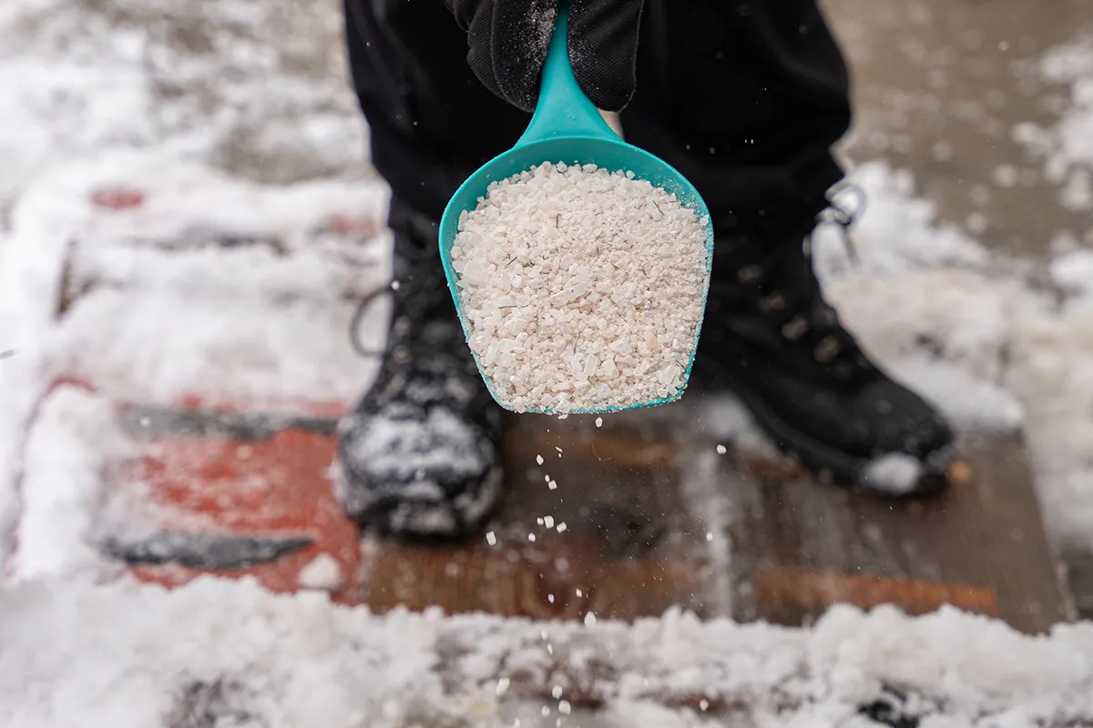 Strooi het op uw terrein in plaats van zout. Het beschadigt de planten niet en het ijs verdwijnt binnen enkele ogenblikken van de stoep.