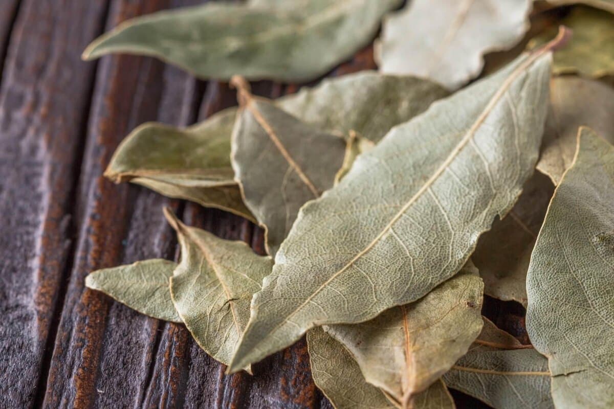 Stavite lovorov list ispod tepiha i sutra ujutro ćete se riješiti svakodnevnih problema.