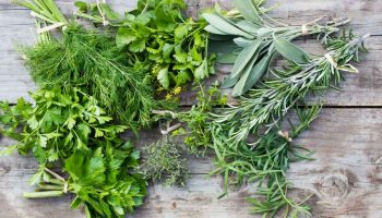 Trei plante aromatice pe care merită să le plantați în februarie pentru a vă umple grădina cu un miros plăcut.