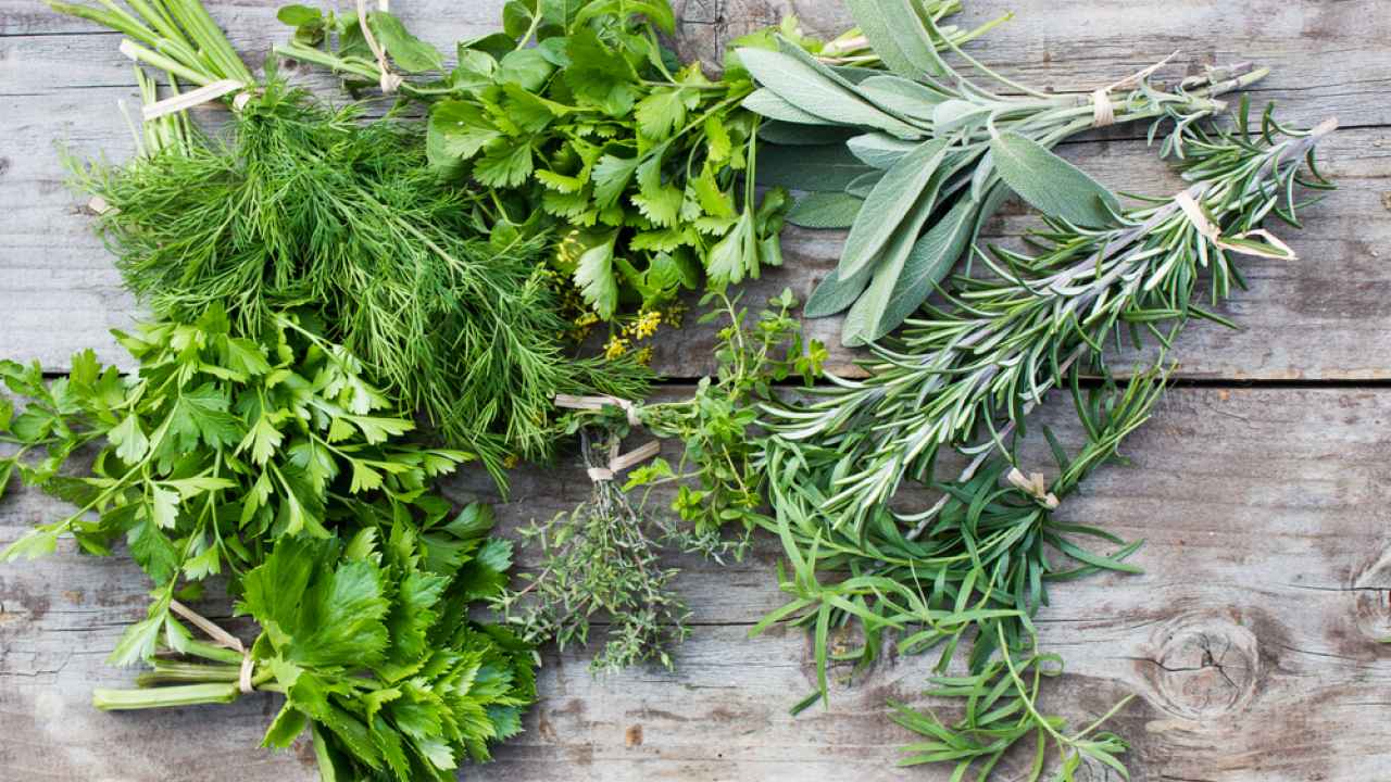 Trei plante aromatice pe care merită să le plantați în februarie pentru a vă umple grădina cu un miros plăcut.