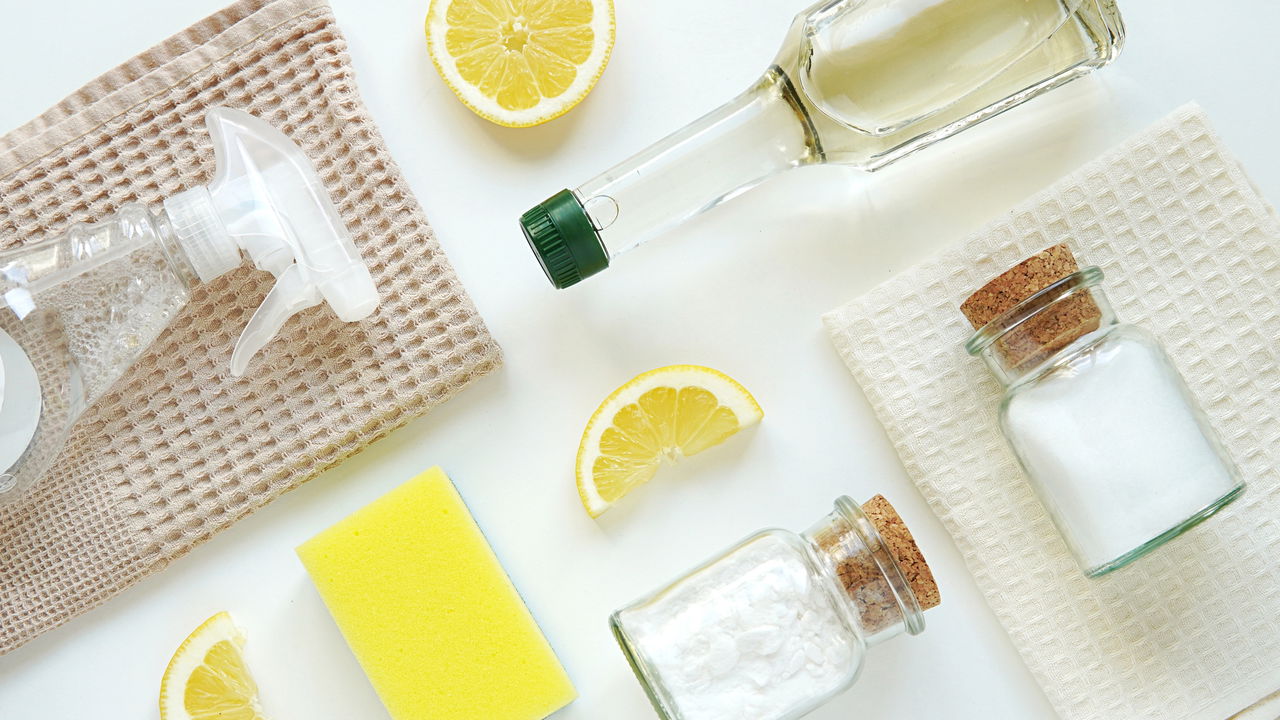 Stručnjaci se slažu: 