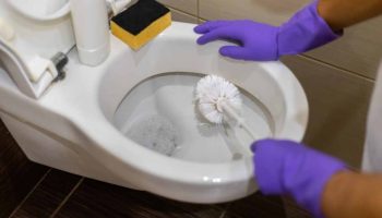 Vylejte to do záchodu pred spaním. Ráno bude biely ako nový.